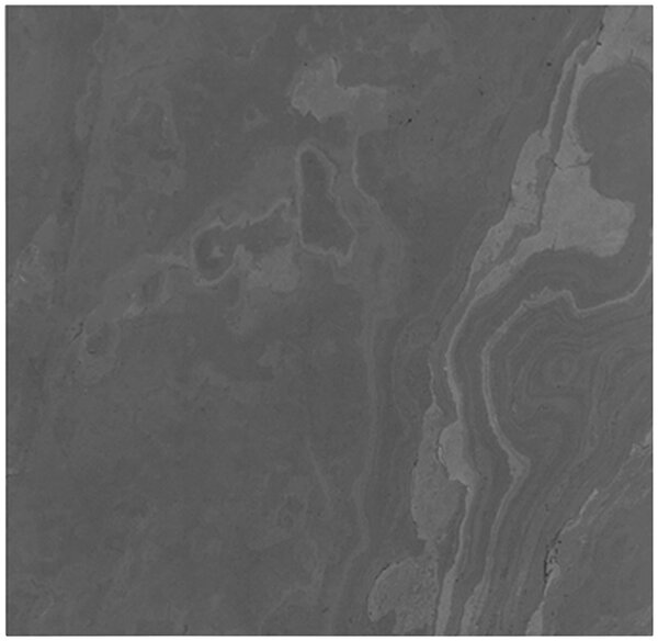 AKUSTICKÝ PANEL velikost: 52/52/0.7 cm Jangal - Online Only tapety, Online Only