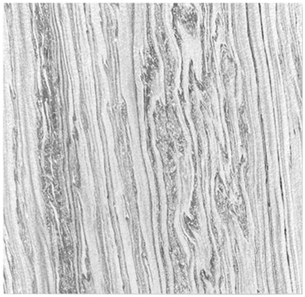 AKUSTICKÝ PANEL velikost: 52/52/0.7 cm Jangal - Online Only tapety, Online Only