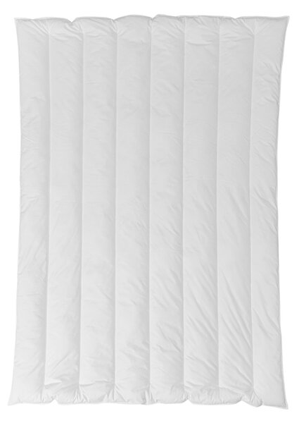 ZIMNÍ PŘIKRÝVKA, 135/200 cm, duté vlákno Centa-Star - Přikrývky