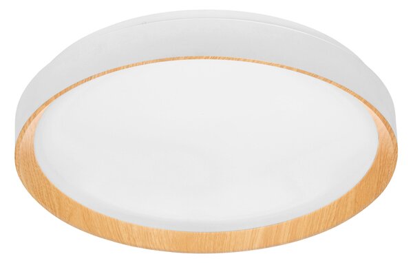 STROPNÍ LED SVÍTIDLO, 48/8 cm Novel - Stropní svítidla