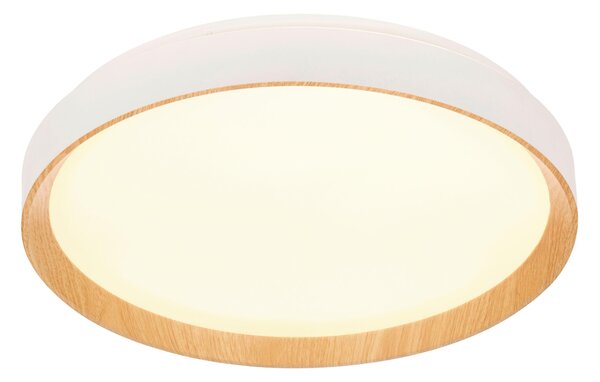 STROPNÍ LED SVÍTIDLO, 48/8 cm Novel - Stropní svítidla