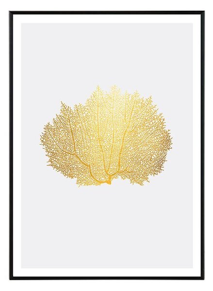 Coral I. - 30x40 cm Obraz