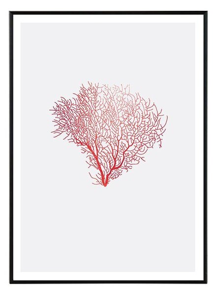 Coral spirit - 30x40 cm Obraz