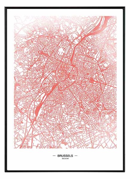 Brussels map - 50x70 cm Obraz
