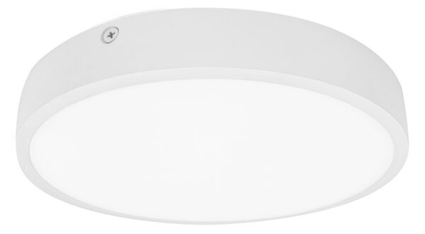Palnas Stropní/nástěnné LED svítidlo EGON ø 14,5 cm Barva: Bílá, 4000K