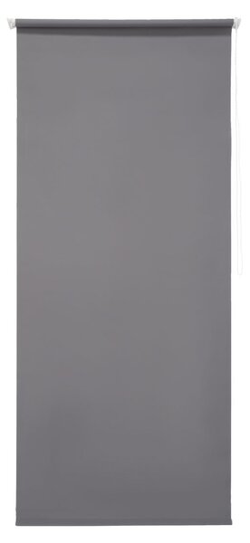 LIVARNO home Roleta na dveře, 80 x 200 cm (šedá) (100345907002)