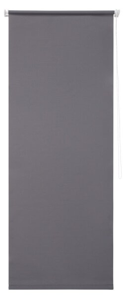 LIVARNO HOME Roleta na okno, 60/80/100 x 150 cm (60 x 150 cm, šedá) (100345925004)