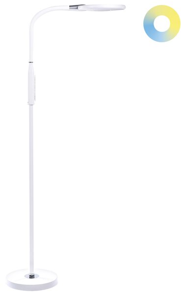 LED stojací lampa CASSIOPEIA se stmívačem Kov Bílá