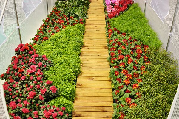 Home & Garden Zahradní fóliovník zelený 3 x 2 m
