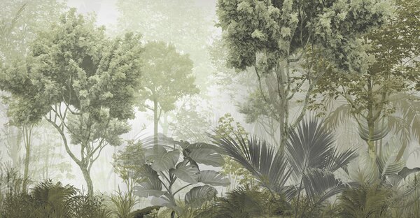 Fototapety Ráno v hlubinách lesa, Fototapety les, Fototapety jungle, u97409 : uwalls.cz
