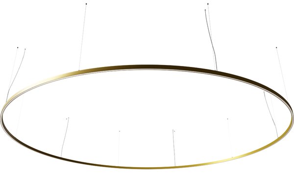 Ilti Zirkol Circle Downlight, zlaté kruhové závěsné svítidlo, 226W LED 2700K DALI/PUSH, Ø500cm