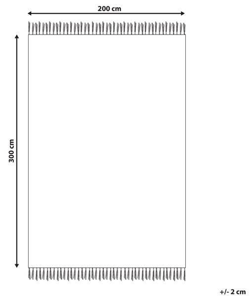 Koberec ATAN Pestrá 200 x 300 cm Bavlna Kelim