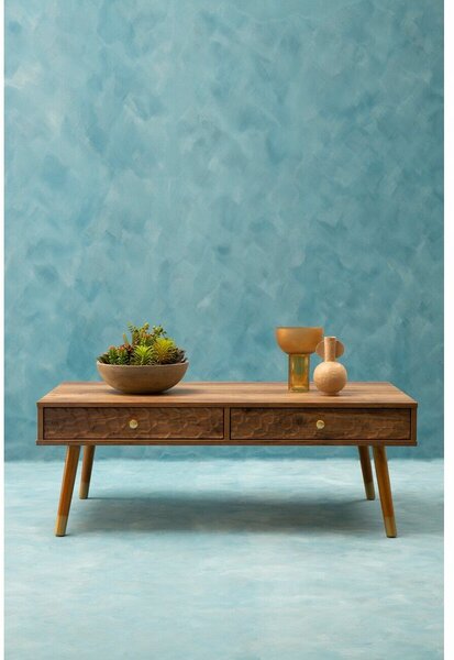 Konferenční stolek v tmavě přírodní barvě 59x110 cm Frida – Premier Housewares