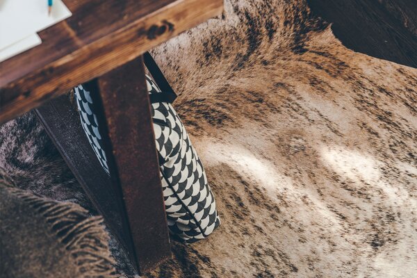 Skinnwille Home Collection Hovězí kůže Exotic, brazilská kráva