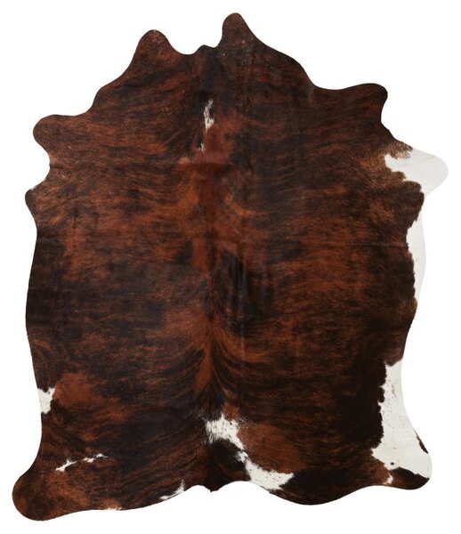 Skinnwille Home Collection Hovězí kůže Exotic, brazilská kráva