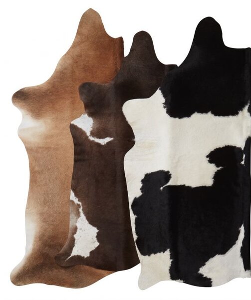 Skinnwille Home Collection Hovězí kůže Tilda malá, brazilská kráva