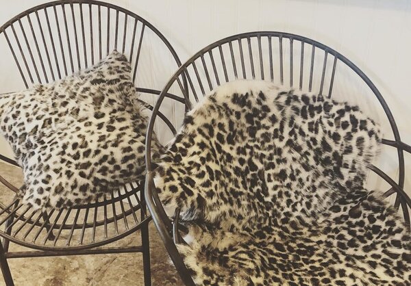 Skinnwille Home Collection Kozí kůže Goaty Leopard