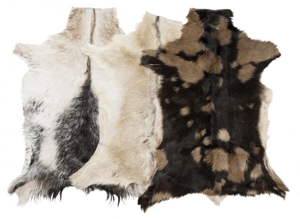 Skinnwille Home Collection Kozí kůže Goaty mix