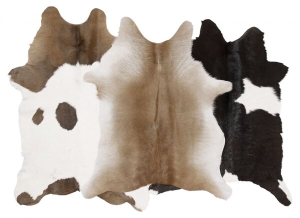 Skinnwille Home Collection Telecí kůže Neno, brazilská kůže