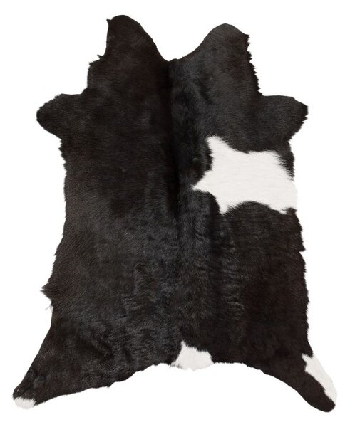 Skinnwille Home Collection Telecí kůže Neno, brazilská kůže