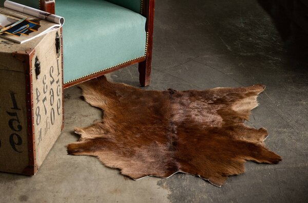 Skinnwille Home Collection Telecí kůže Neno, brazilská kůže