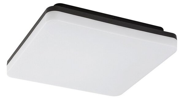 Rabalux 7250 LED venkovní stropní svítidlo Pernik 1x24W | 2400lm | 4000K | IP54