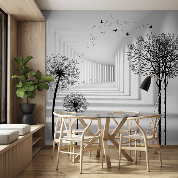 Fototapety Hloubka a světlo, Fototapety černobílé, u37803d1 : uwalls.cz