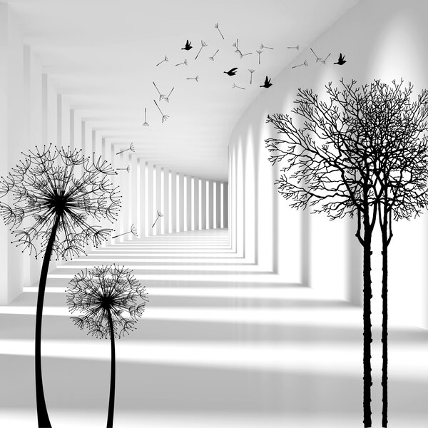 Fototapety Hloubka a světlo, Fototapety černobílé, u37803d1 : uwalls.cz