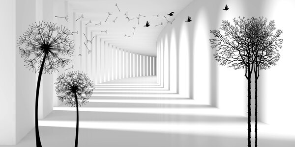Fototapety Hloubka a světlo, Fototapety černobílé, u37803d2 : uwalls.cz