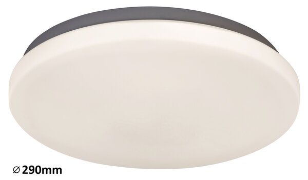 Rabalux LED stropní svítidlo Rob 1x20W | 1400lm | 4000K - průměr 29cm, bílá