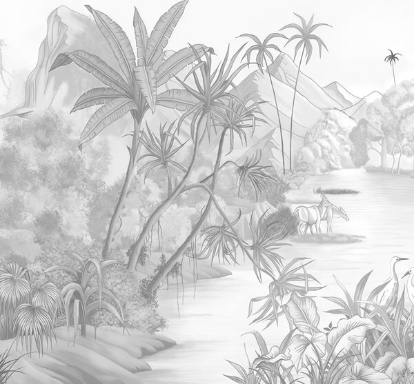 Fototapety Černobílé tropy, Fototapety les, Fototapety jungle, u59039d1 : uwalls.cz