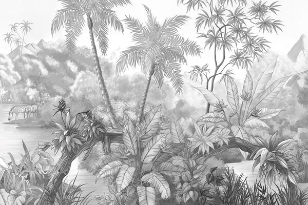 Fototapety Černobílé tropy, Fototapety les, Fototapety jungle, u59039d3 : uwalls.cz