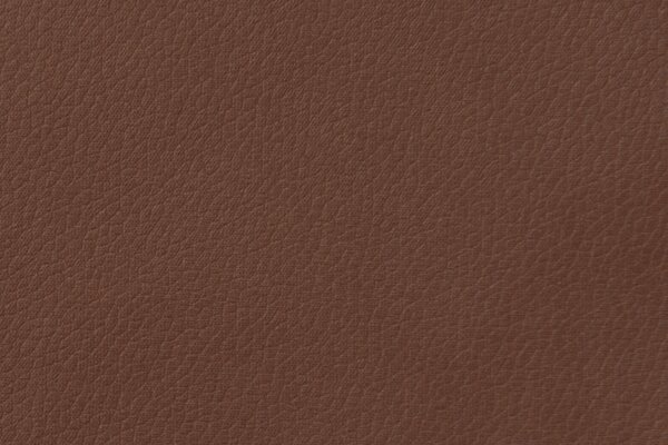 ŽIDLE S PODRUČKAMI, železo, tkaná látka, mikrovlákno, koňaková Novel - Jídelní židle, Online Only