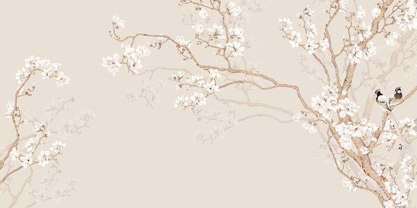 Fototapety Magnolie v zahradě, Fototapety les, Fototapety stromy, u25842d2 : uwalls.cz