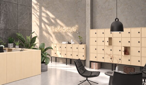 Kancelářská skříň FRAME, 6x dveře, prostor pro TV, 1299 x 450 x 2162 mm, kódový zámek, bříza