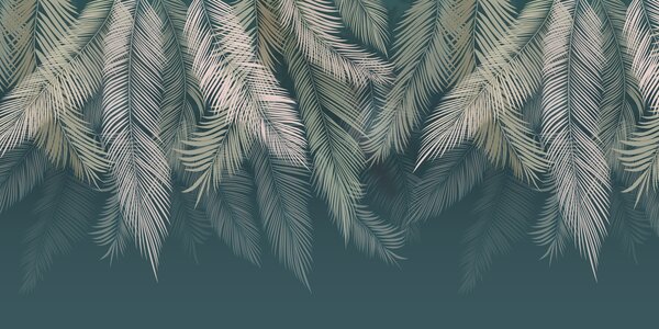 Fototapety Palmové listy na tmavě zeleném pozadí, Fototapety les, Fototapety tropické, u48556v2d2 : uwalls.cz
