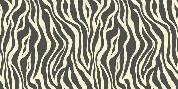 Fototapety Vektorový tisk zebří kůže v černé a bílé barvě, Fototapety abstraktní, u99173v3 : uwalls.cz