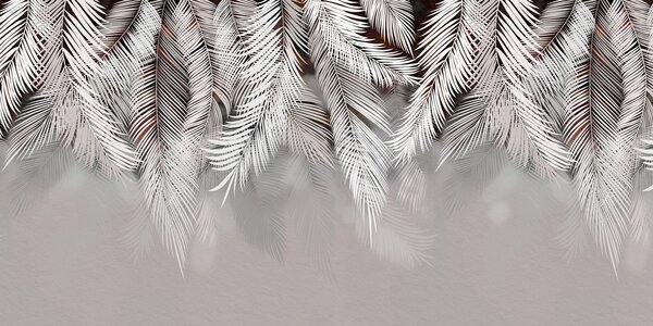 Fototapety Tropické listy, Fototapety les, Fototapety tropické, u48556v4d2 : uwalls.cz