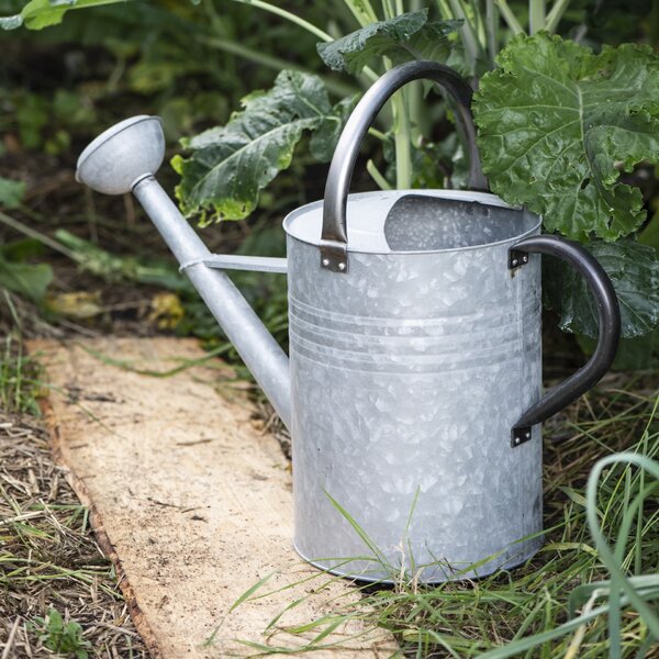 Zahradní konev Black Handles 11 l