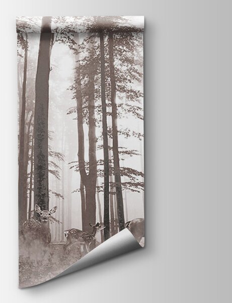 Fototapeta Skupina jelenů v lese, Přírodní fototapety, Populární fototapety, u93893 - Tapeko.co.cz