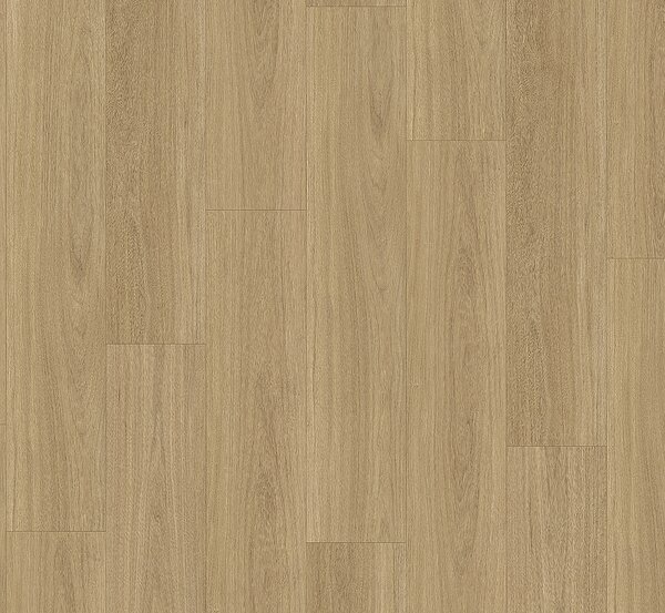 PARADOR Basic 5.3 SPC Dub oxford přírodní 1748823 - 2.18 m2