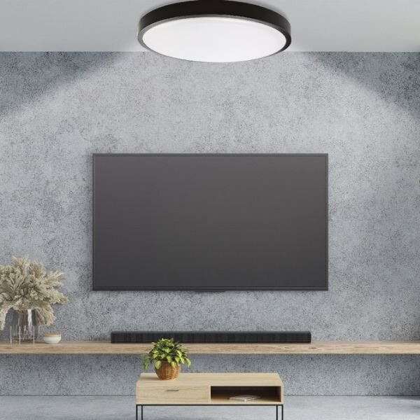 Prémiové LED stropní svítidlo Andra 34cm 24W 1875lm CCT, černý rám, dálkové ovl., 3 roky
