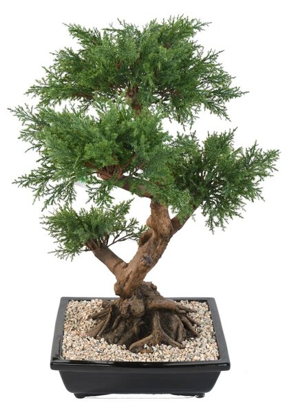 Umělá Bonsai Jalovec v misce, 75cm