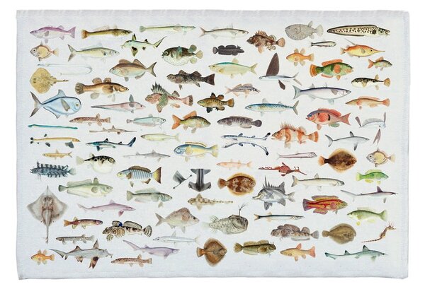 Koupelnová podložka s příměsí bavlny Really Nice Things Fish in the Ocean, 40 x 60 cm