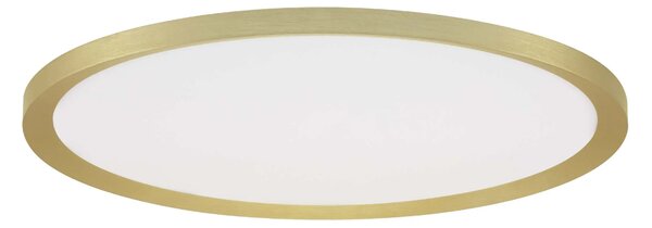 LED stmívatelné zlaté designové stropní svítidlo Aoton
