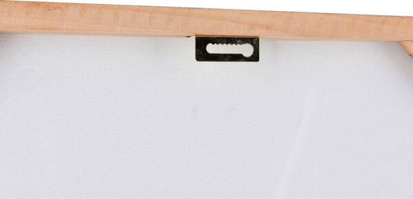 OBRAZ, zvířata, 60/90 cm - Obrazy na plátně, Online Only