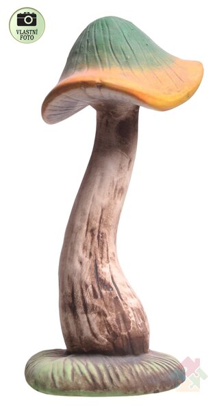 Houba čirůvka Strmělka