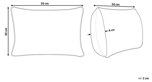 Sada 2 dekorativních polštářů BANORI Len 30 x 50 cm Černá Bez vzoru