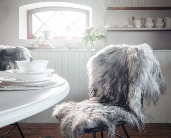 Skinnwille Home Collection Islandská ovčí kožešina Molly, přírodní šedá, 90 cm