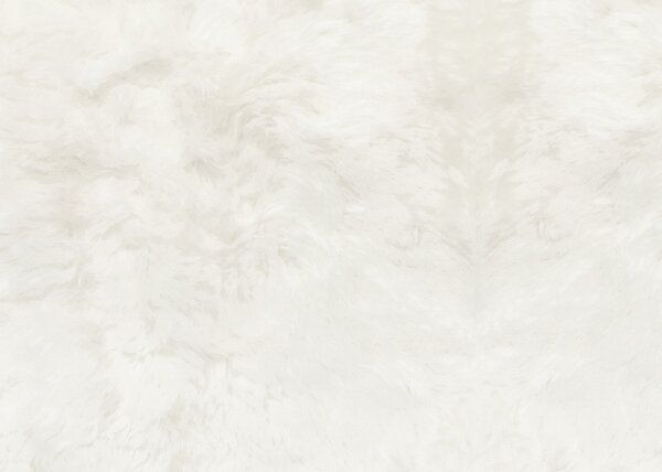 Skinnwille Home Collection Islandská ovčí kožešina Nelly, bílá Offwhite, 90x55 cm